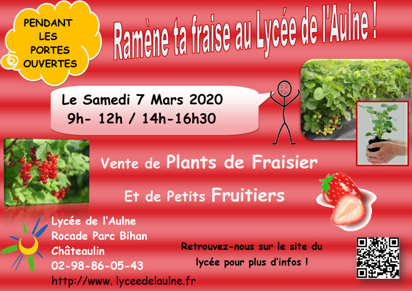 Lycée de l'Aulne Châteaulin : Ramène ta fraise